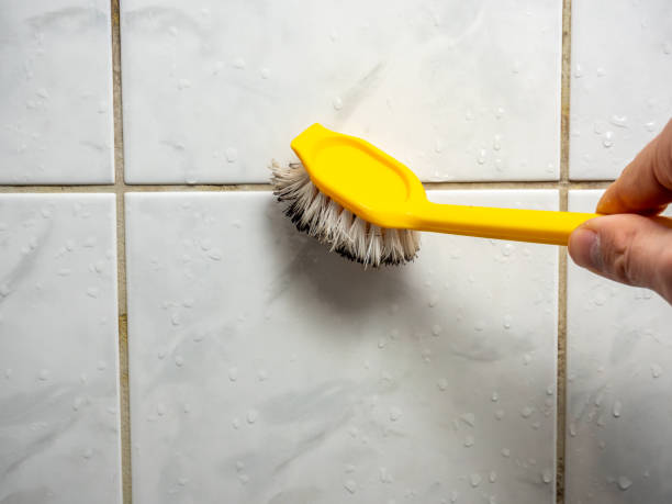 Best Mold Removal Company Near Me  in Stuart, VA