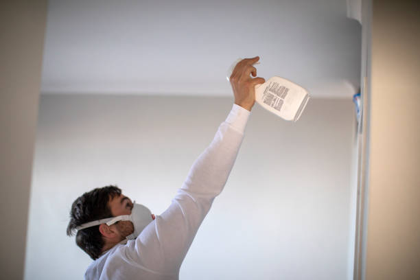 Best Mold Removal Specialists  in Stuart, VA