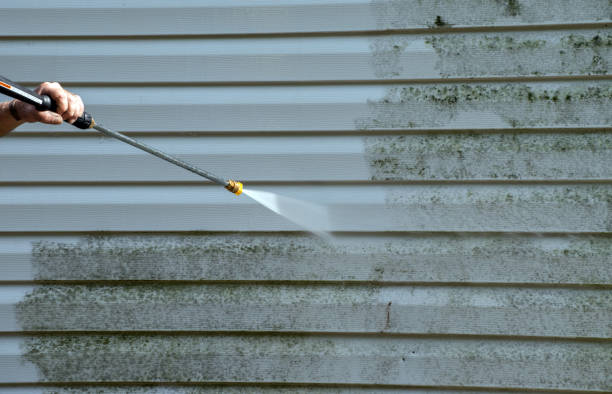 Mold Removal and Inspection in Stuart, VA
