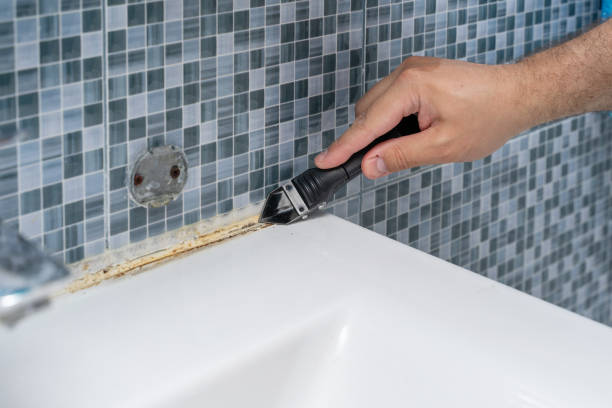 Best Residential Mold Removal  in Stuart, VA